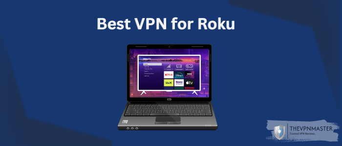 best-vpn-for-roku-image-view